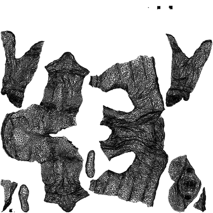 3D people model man casual cycling, scanned human for 3ds Max rendering, wireframe top-down view