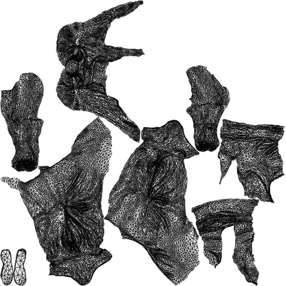 photogrammetry 3D woman casual sitting, realistic human model archviz FBX, wireframe top-down view