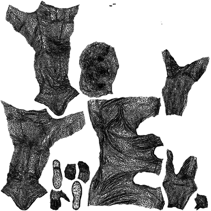 realistic 3D people man casual cycling, render-ready for V-Ray and Corona, FBX OBJ, wireframe top-down view