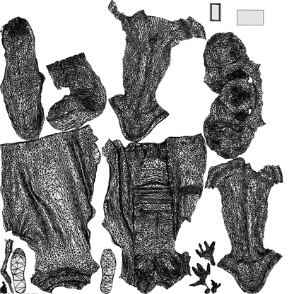 3D people model woman casual walking, scanned human for 3ds Max rendering, wireframe top-down view