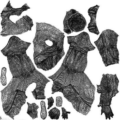 3D people model boy casual kids, scanned human for 3ds Max rendering, wireframe top-down view