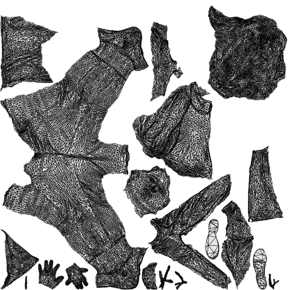3D scanned woman walking casual, photorealistic archviz people for Enscape and SketchUp, wireframe top-down view