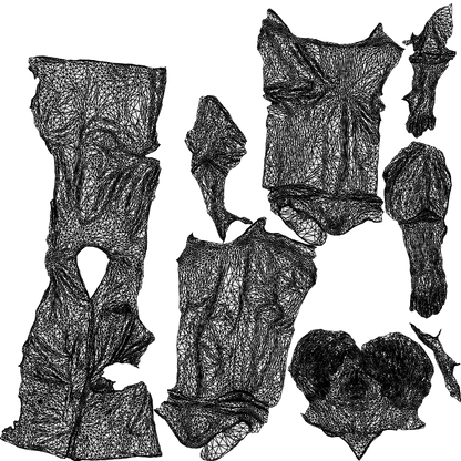scanned 3D senior woman medical, photogrammetry people for Enscape and V-Ray, wireframe top-down view