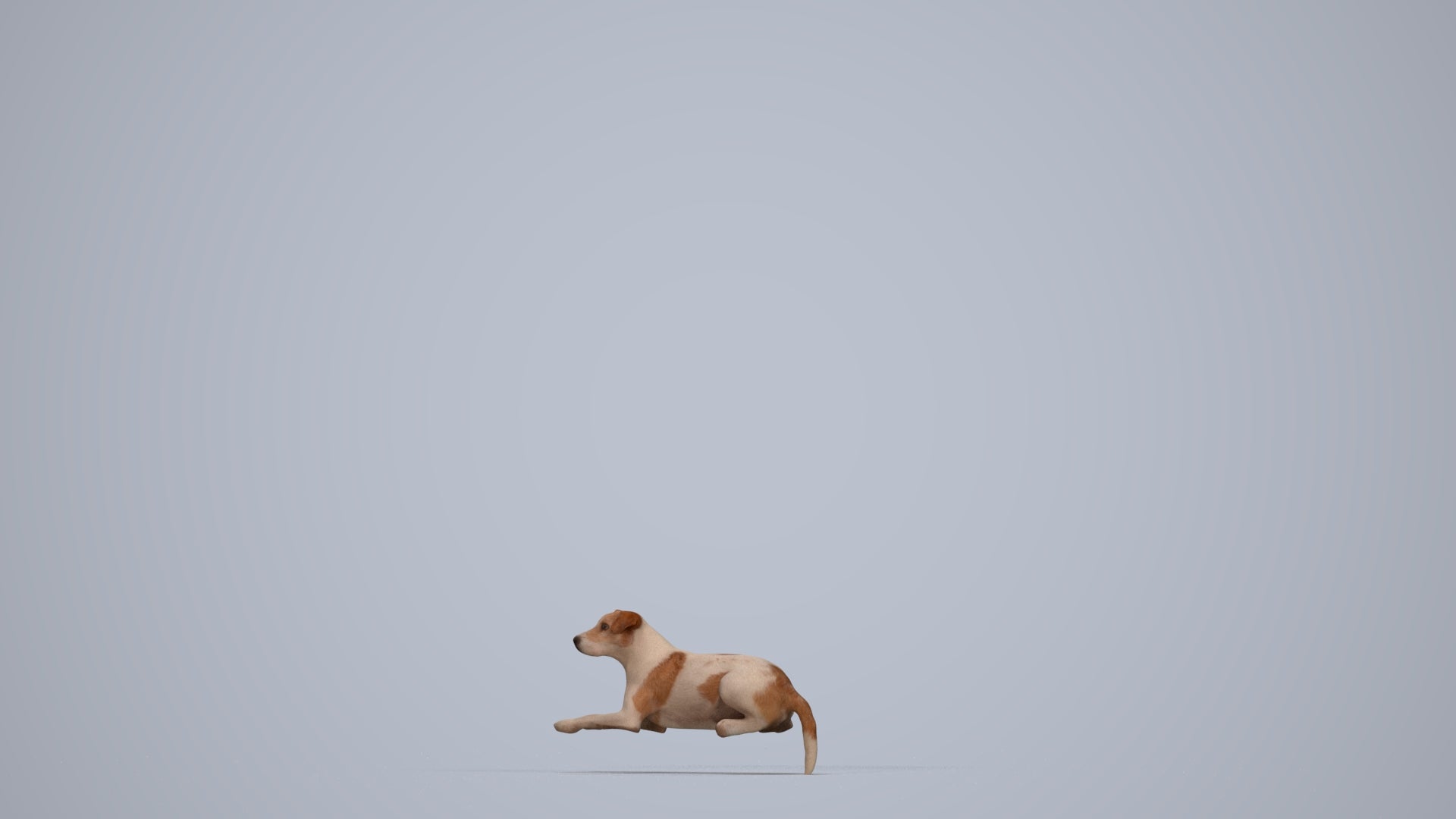 3D human model person casual misc, photogrammetry scanned person for archviz, top-down view render