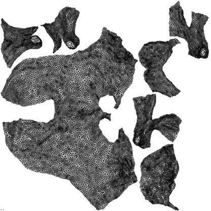 photogrammetry 3D person misc, realistic human model archviz FBX, wireframe top-down view