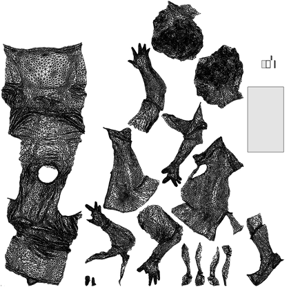 3D scanned woman sitting casual, photorealistic archviz people for Enscape and SketchUp, wireframe top-down view