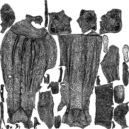3D human model senior woman standing, photogrammetry scanned person for archviz, wireframe top-down view