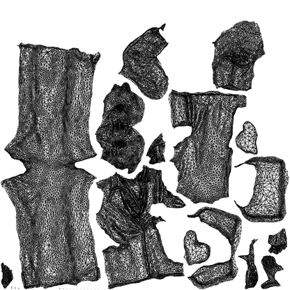 3D human model senior woman business, photogrammetry scanned person for archviz, wireframe top-down view