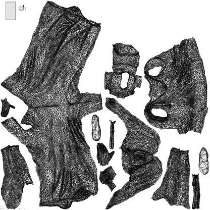 3D people model woman casual standing, scanned human for 3ds Max rendering, wireframe top-down view