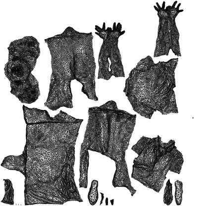scanned 3D woman hospitality, photogrammetry people for Enscape and V-Ray, wireframe top-down view