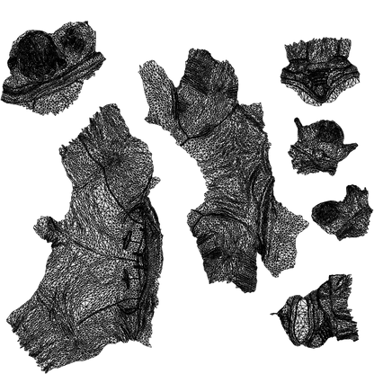 realistic 3D people man casual sitting, render-ready for V-Ray and Corona, FBX OBJ, wireframe top-down view