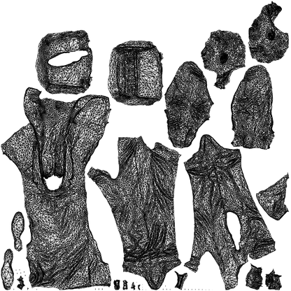 realistic 3D man business, scanned archviz people for Blender and 3ds Max, wireframe top-down view