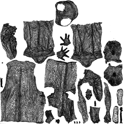 3D people model man medical, scanned human for 3ds Max rendering, wireframe top-down view