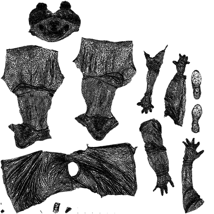 3D human model man sport, photogrammetry scanned person for archviz, wireframe top-down view