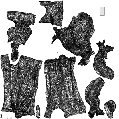 photogrammetry 3D woman casual standing, realistic human model archviz FBX, wireframe top-down view
