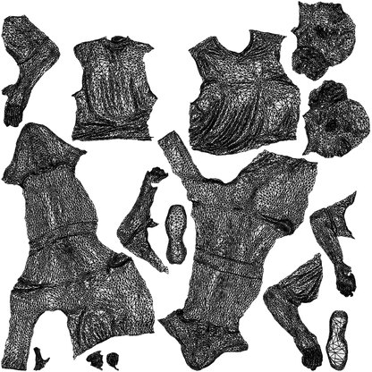 3D people model woman sport, scanned human for 3ds Max rendering, wireframe top-down view