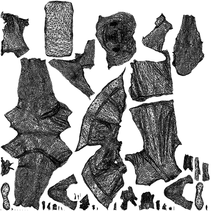 scanned 3D man sport, photogrammetry people for Enscape and V-Ray, wireframe top-down view