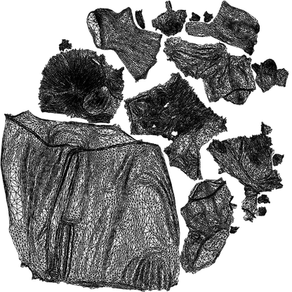 scanned 3D woman casual sport, photogrammetry people for Enscape and V-Ray, wireframe top-down view