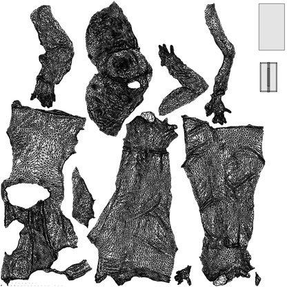 scanned 3D woman business standing, photogrammetry people for Enscape and V-Ray, wireframe top-down view