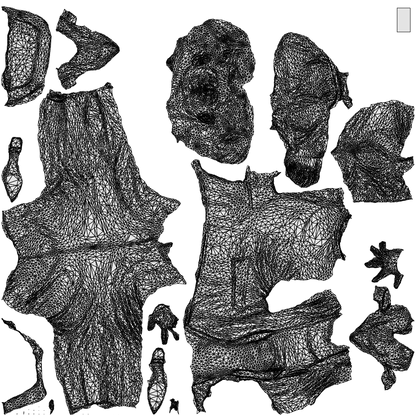 3D people model woman casual walking, scanned human for 3ds Max rendering, wireframe top-down view