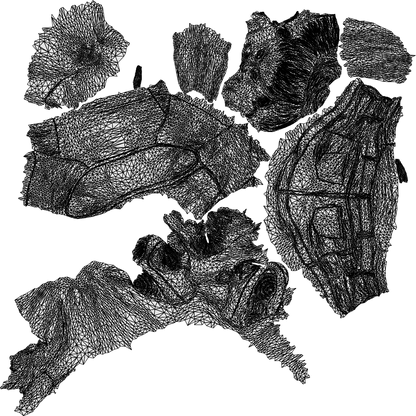 scanned 3D woman casual sitting, photogrammetry people for Enscape and V-Ray, wireframe top-down view
