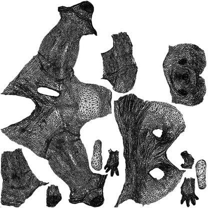 scanned 3D boy casual kids, photogrammetry people for Enscape and V-Ray, wireframe top-down view