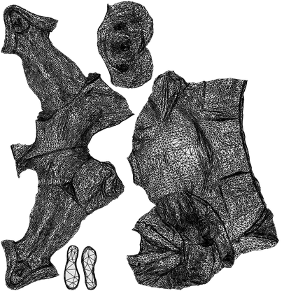 3D human model man business standing, photogrammetry scanned person for archviz, wireframe top-down view