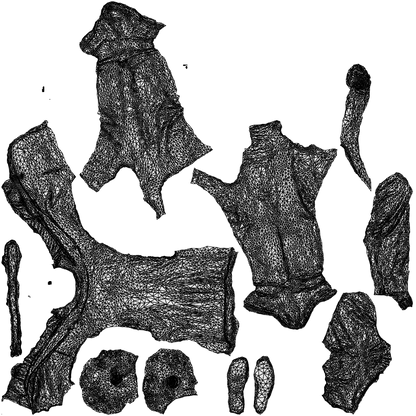 realistic 3D people man business, render-ready for V-Ray and Corona, FBX OBJ, wireframe top-down view