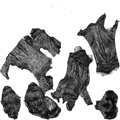 3D people model man business, scanned human for 3ds Max rendering, wireframe top-down view
