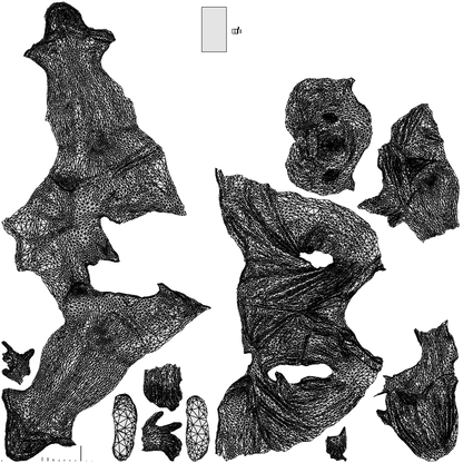 scanned 3D man casual sitting, photogrammetry people for Enscape and V-Ray, wireframe top-down view