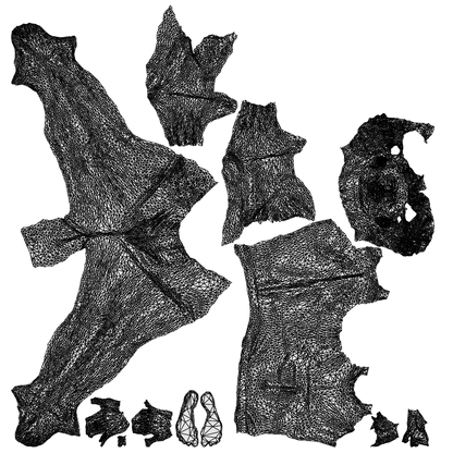 scanned 3D man bathroom, photogrammetry people for Enscape and V-Ray, wireframe top-down view