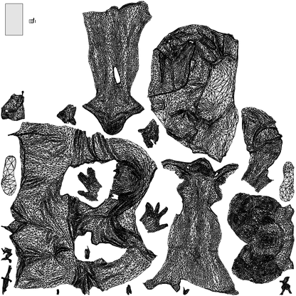 3D scanned woman standing casual, photorealistic archviz people for Enscape and SketchUp, wireframe top-down view