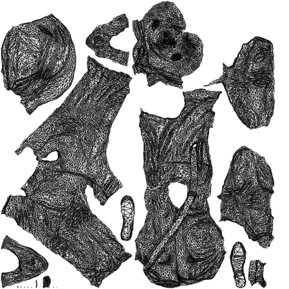3D people model man casual walking, scanned human for 3ds Max rendering, wireframe top-down view