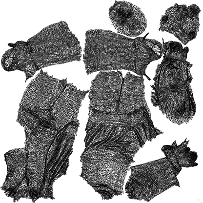 3D people model woman business cycling, scanned human for 3ds Max rendering, wireframe top-down view