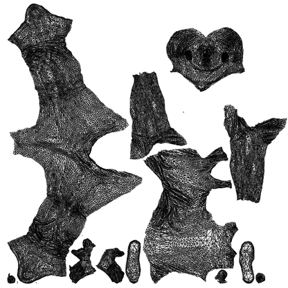 realistic 3D boy casual cycling, scanned archviz people for Blender and 3ds Max, wireframe top-down view