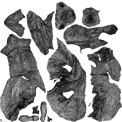 3D human model man casual sitting, photogrammetry scanned person for archviz, wireframe top-down view