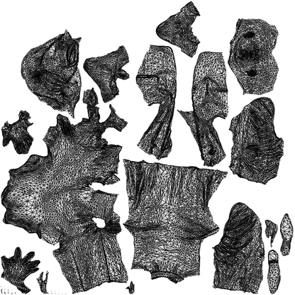 3D people model man business, scanned human for 3ds Max rendering, wireframe top-down view