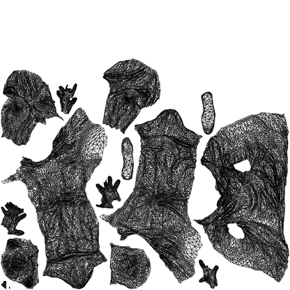 3D people model senior man casual sitting, scanned human for 3ds Max rendering, wireframe top-down view