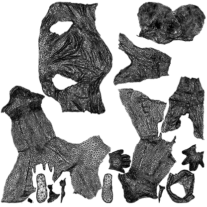 photogrammetry 3D woman casual sitting, realistic human model archviz FBX, wireframe top-down view
