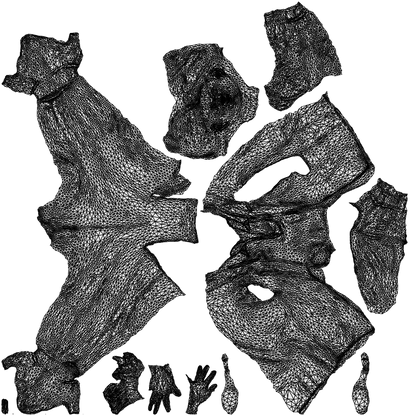 photogrammetry 3D woman business, realistic human model archviz FBX, wireframe top-down view