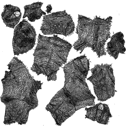 3D people model man casual cycling, scanned human for 3ds Max rendering, wireframe top-down view