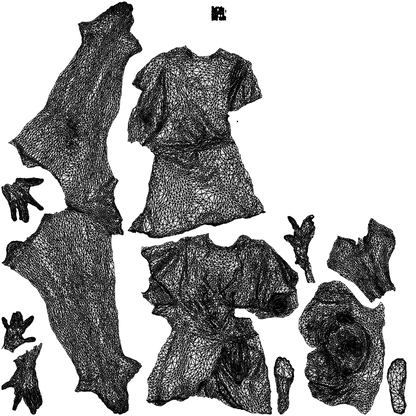 3D people model woman bathroom, scanned human for 3ds Max rendering, wireframe top-down view