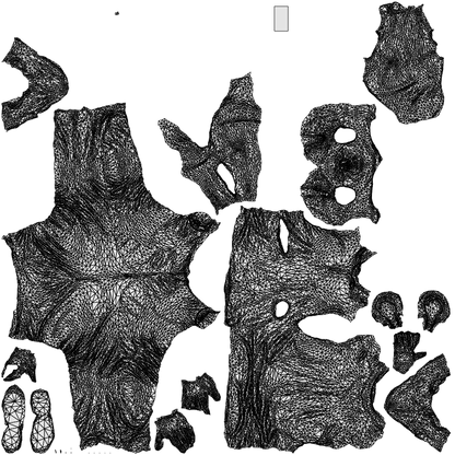 3D people model man casual standing, scanned human for 3ds Max rendering, wireframe top-down view