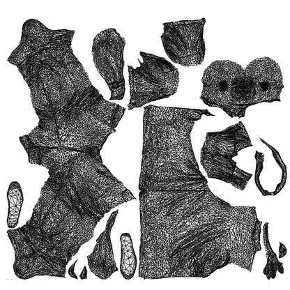 scanned 3D man casual standing, photogrammetry people for Enscape and V-Ray, wireframe top-down view
