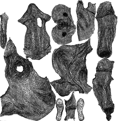 scanned 3D man casual standing, photogrammetry people for Enscape and V-Ray, wireframe top-down view