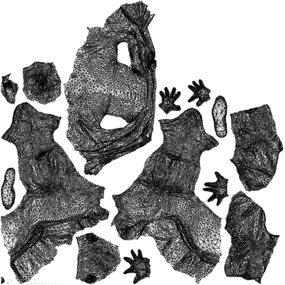 3D human model man business, photogrammetry scanned person for archviz, wireframe top-down view