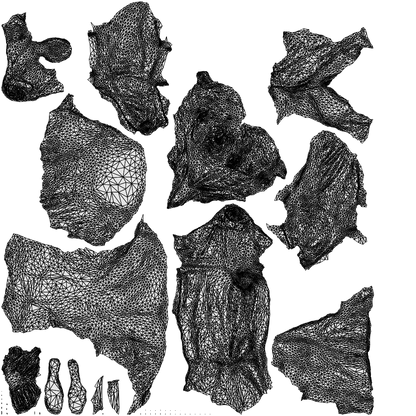 scanned 3D senior woman business, photogrammetry people for Enscape and V-Ray, wireframe top-down view