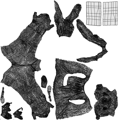 3D people model woman business walking, scanned human for 3ds Max rendering, wireframe top-down view