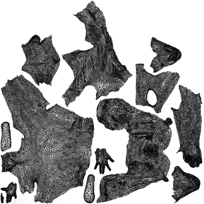 scanned 3D woman casual sitting, photogrammetry people for Enscape and V-Ray, wireframe top-down view