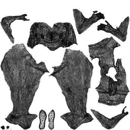 scanned 3D woman sport, photogrammetry people for Enscape and V-Ray, wireframe top-down view